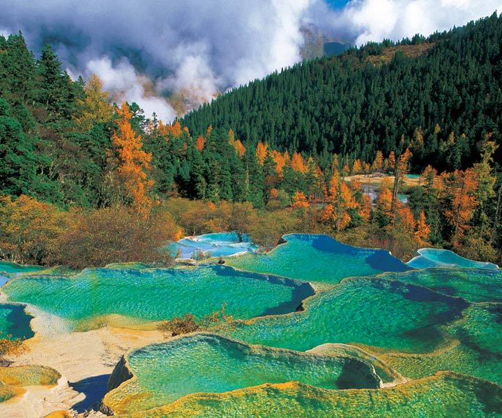 Jiuzhaigou - lesy